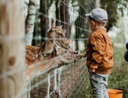 zoos Auvergne