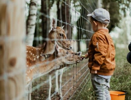 zoos Auvergne