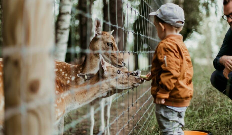 zoos Auvergne